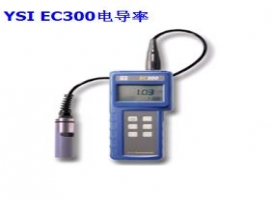 YSI EC300型鹽度、電導(dǎo)和溫度測(cè)量?jī)x